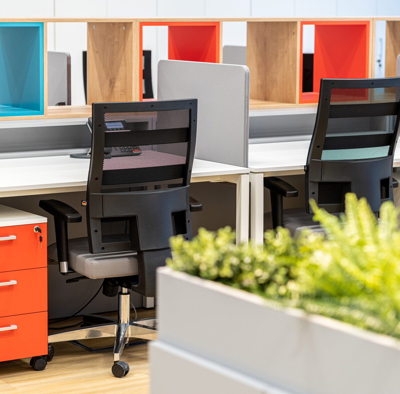 Perrigo Romania workplace project by STIRIXIS Group showing workstation detail with colourful storage units and integrated planting