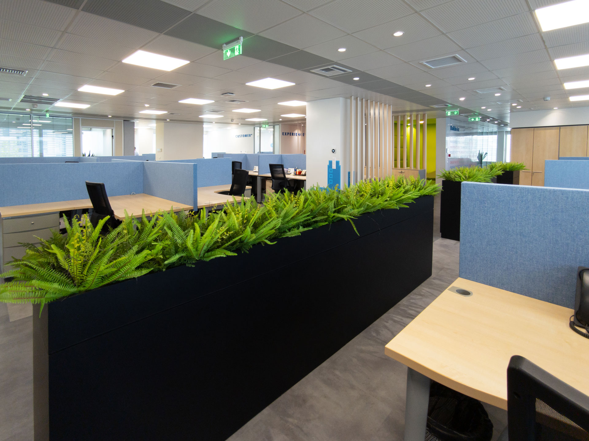 Daikin Hellas workplace project by STIRIXIS Group showing open office floor with biophilic planting dividers and yellow accent wall