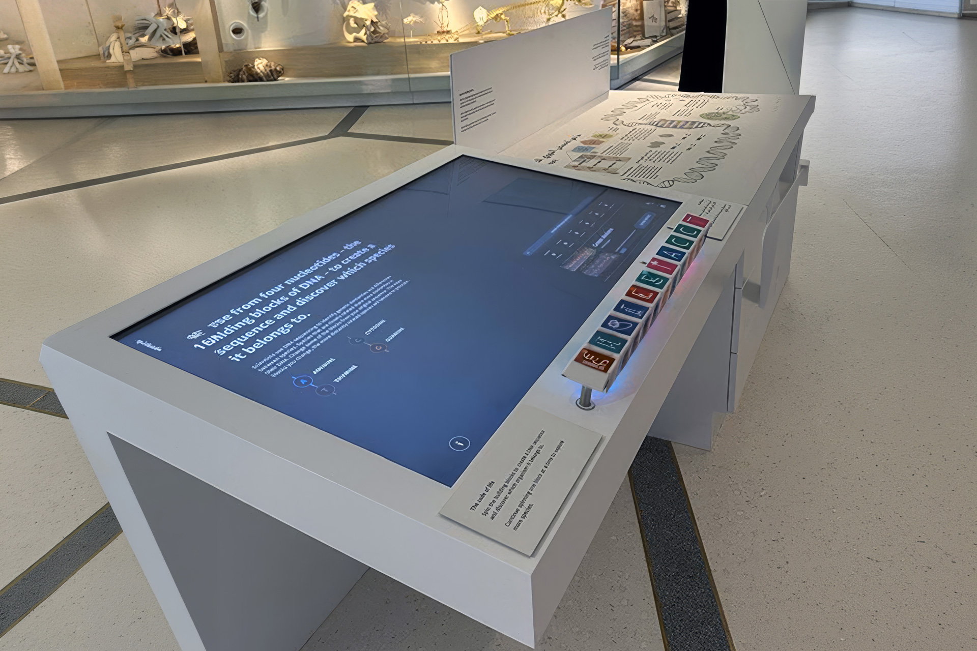 Interactive digital display integrated into a museum exhibition.
